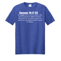 True Royal Heather - PC455 - FRONT