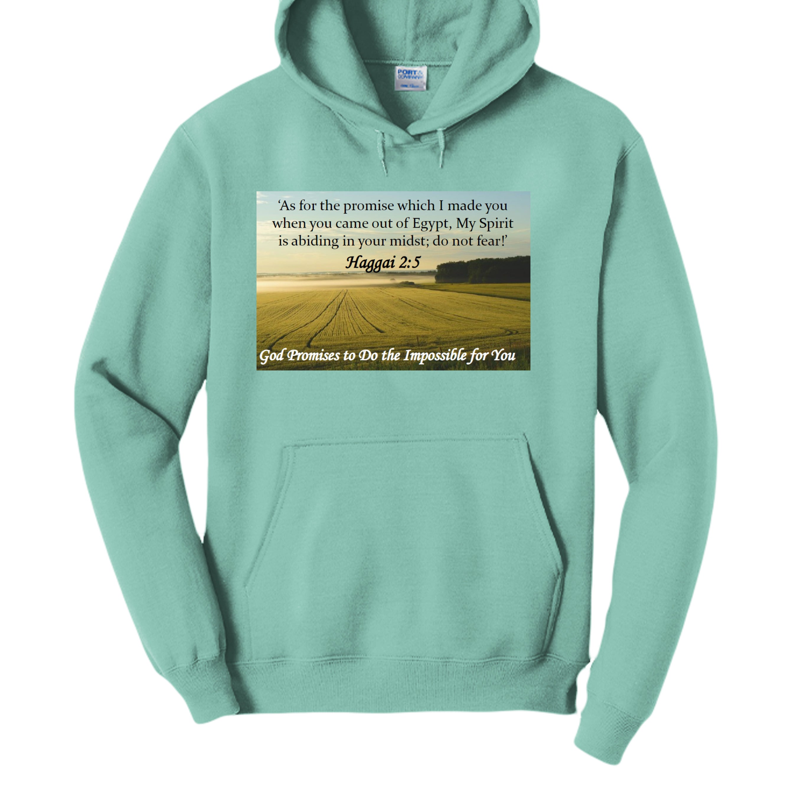True Celadon - PC78H - FRONT