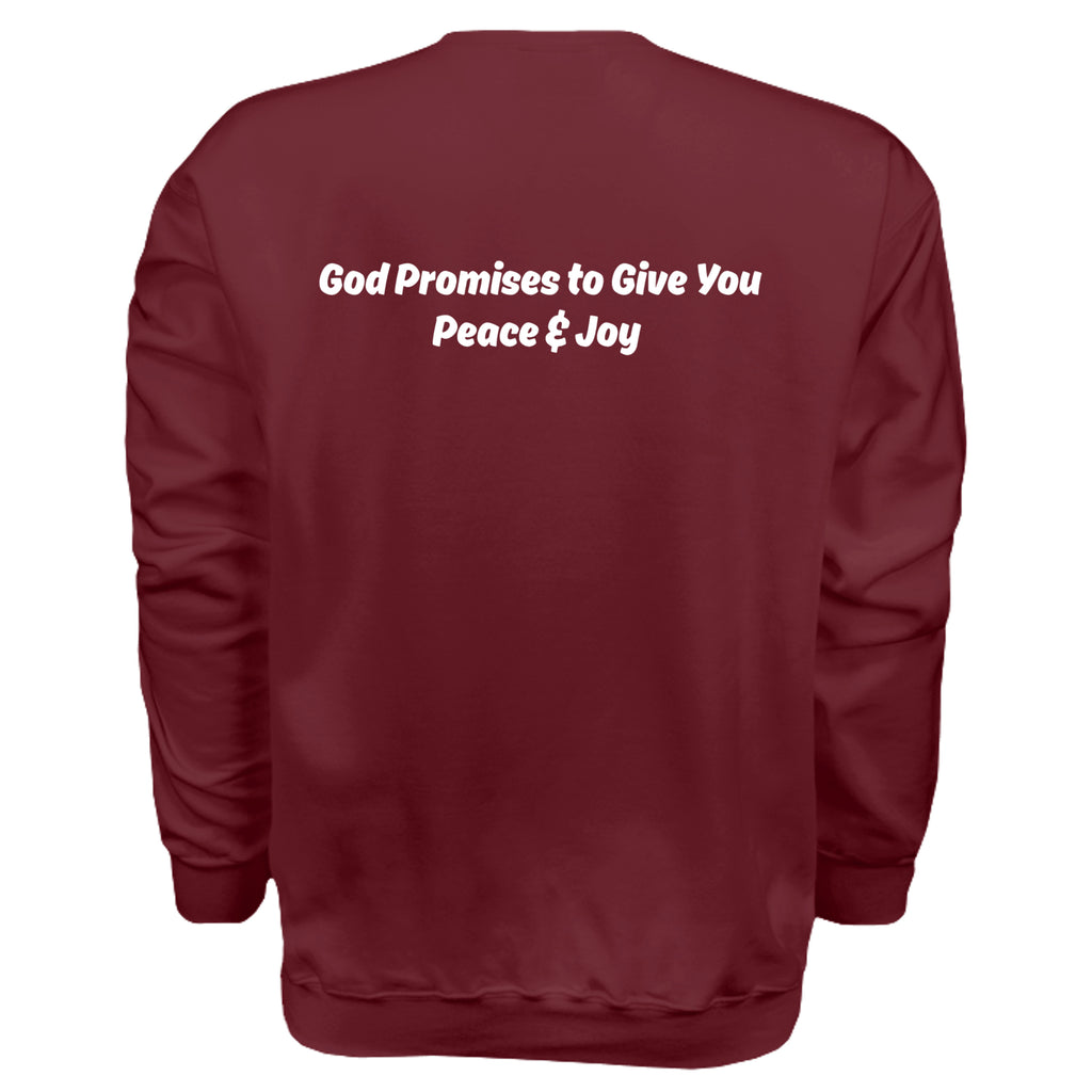 MAROON - F260 - BACK
