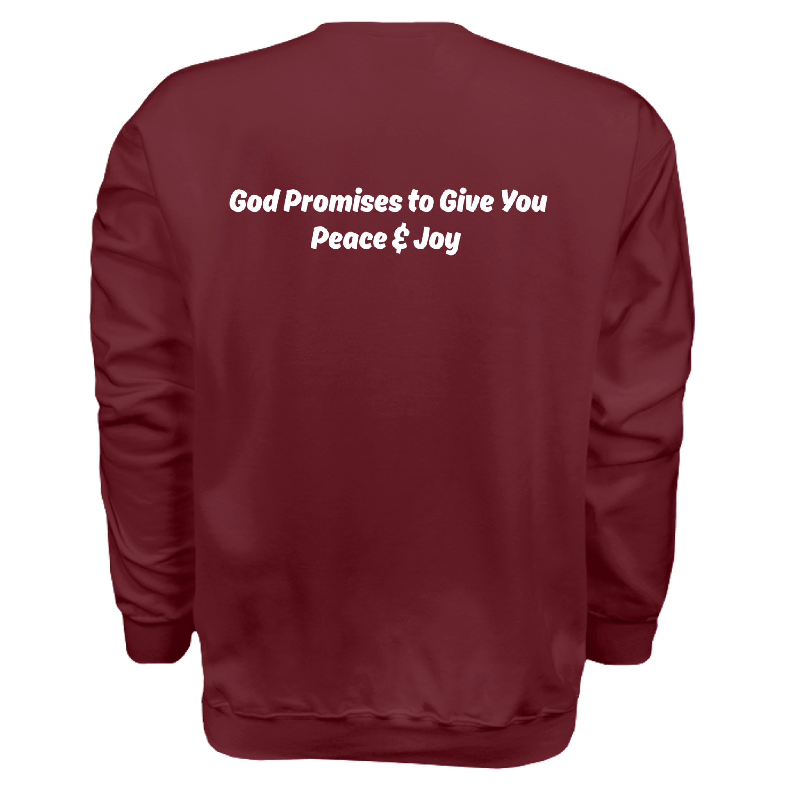 MAROON - F260 - BACK