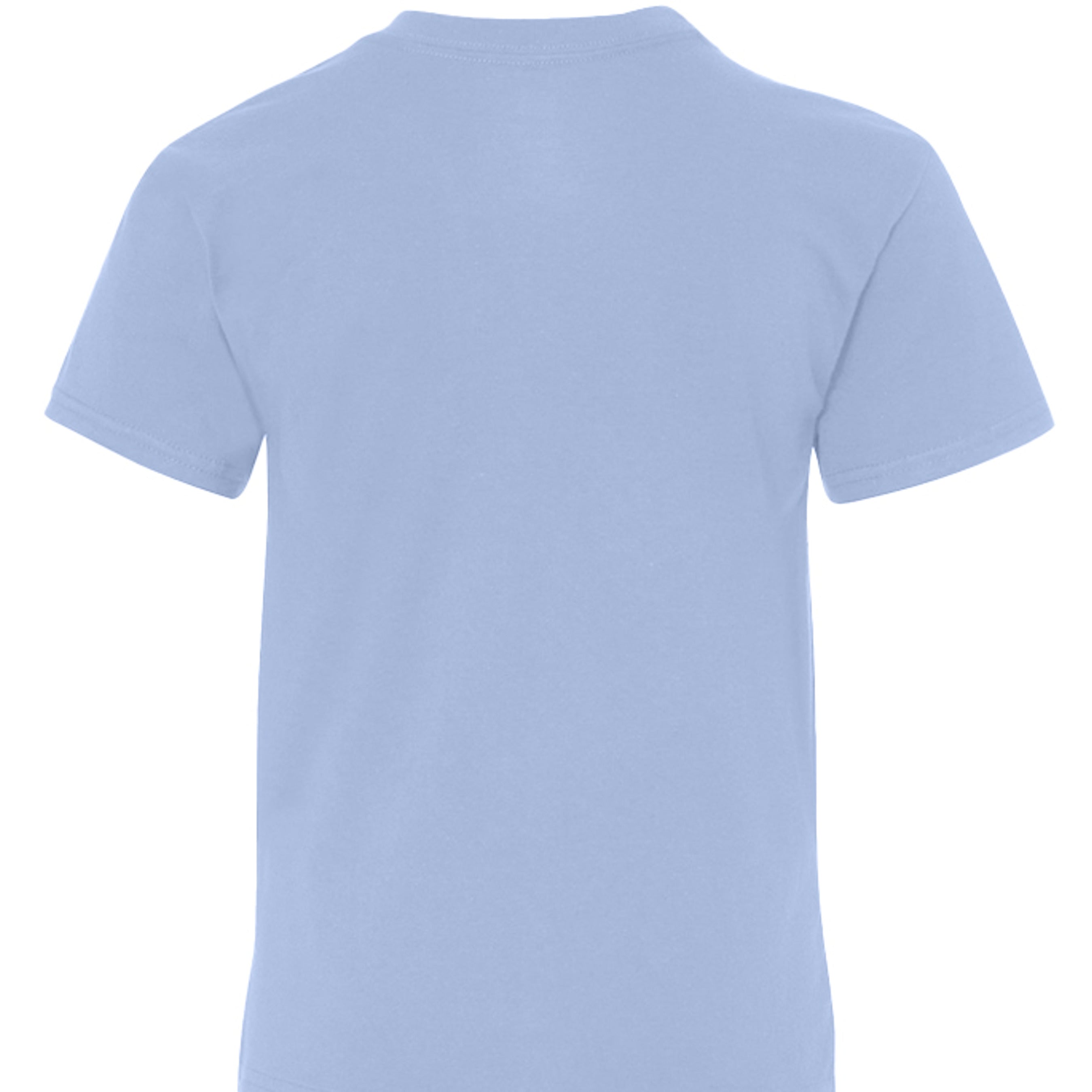 LIGHT BLUE - 498Y - BACK