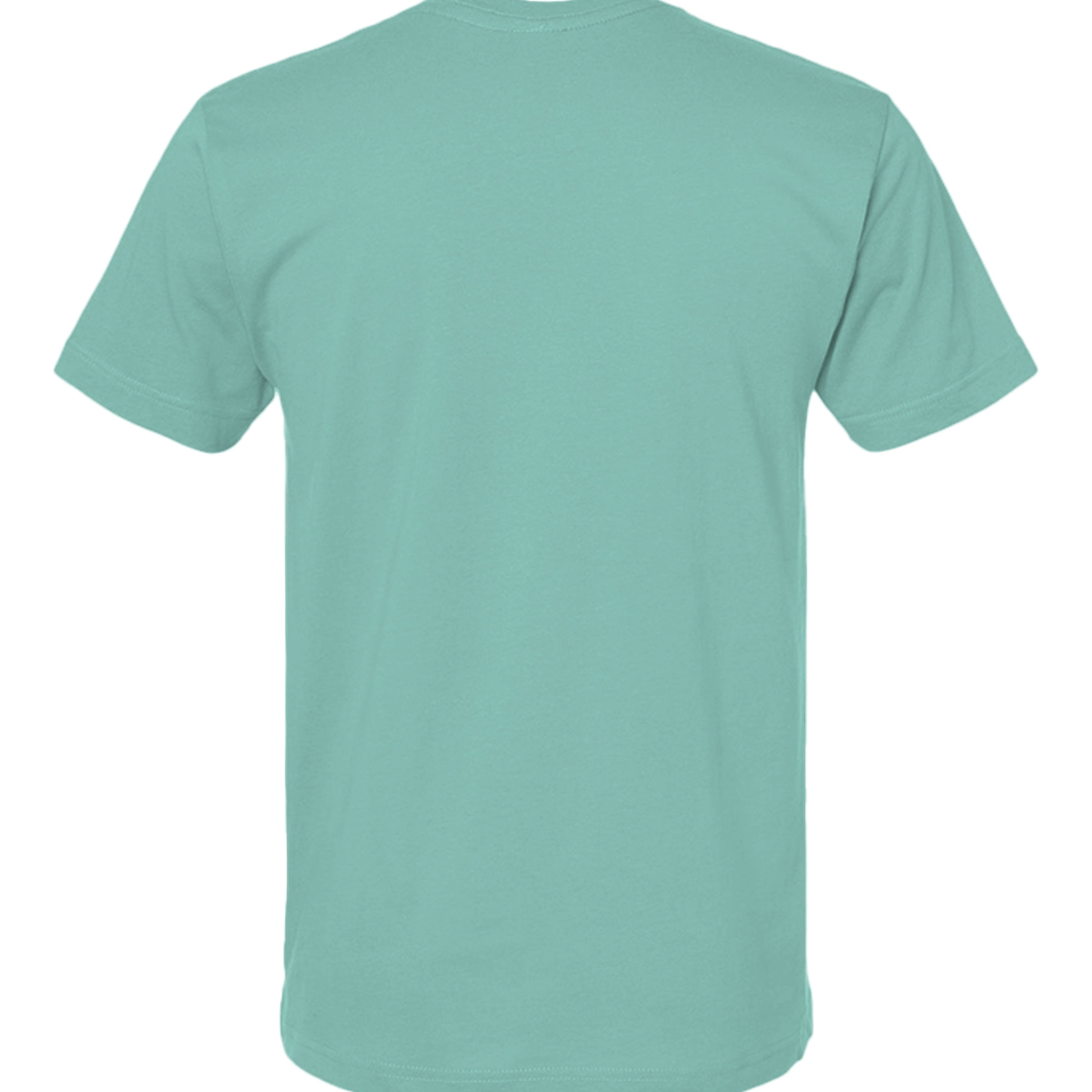 Saltwater - 6101 - BACK