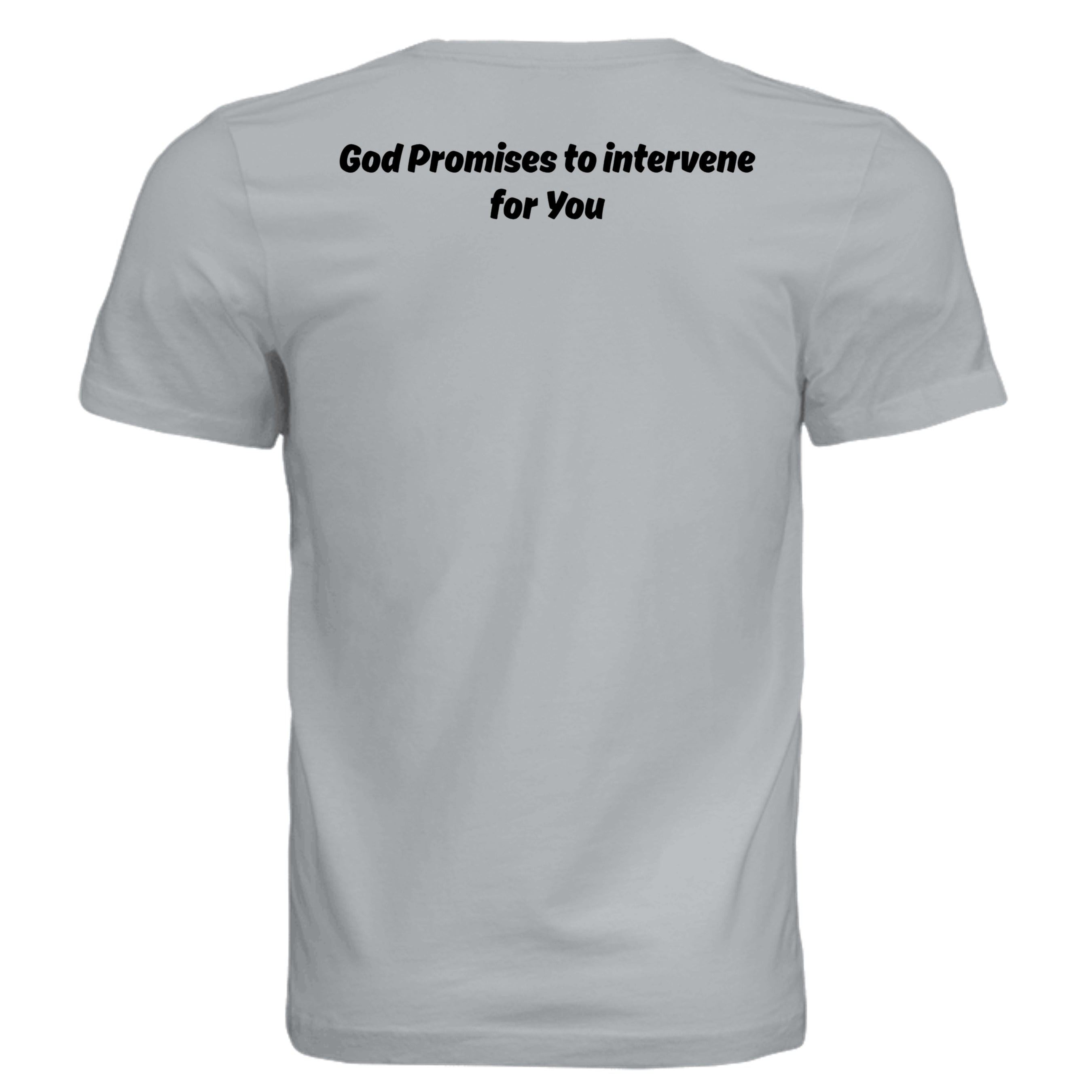 Solid Silver Triblend - 3413C - BACK