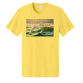 Yellow - PC43 - FRONT