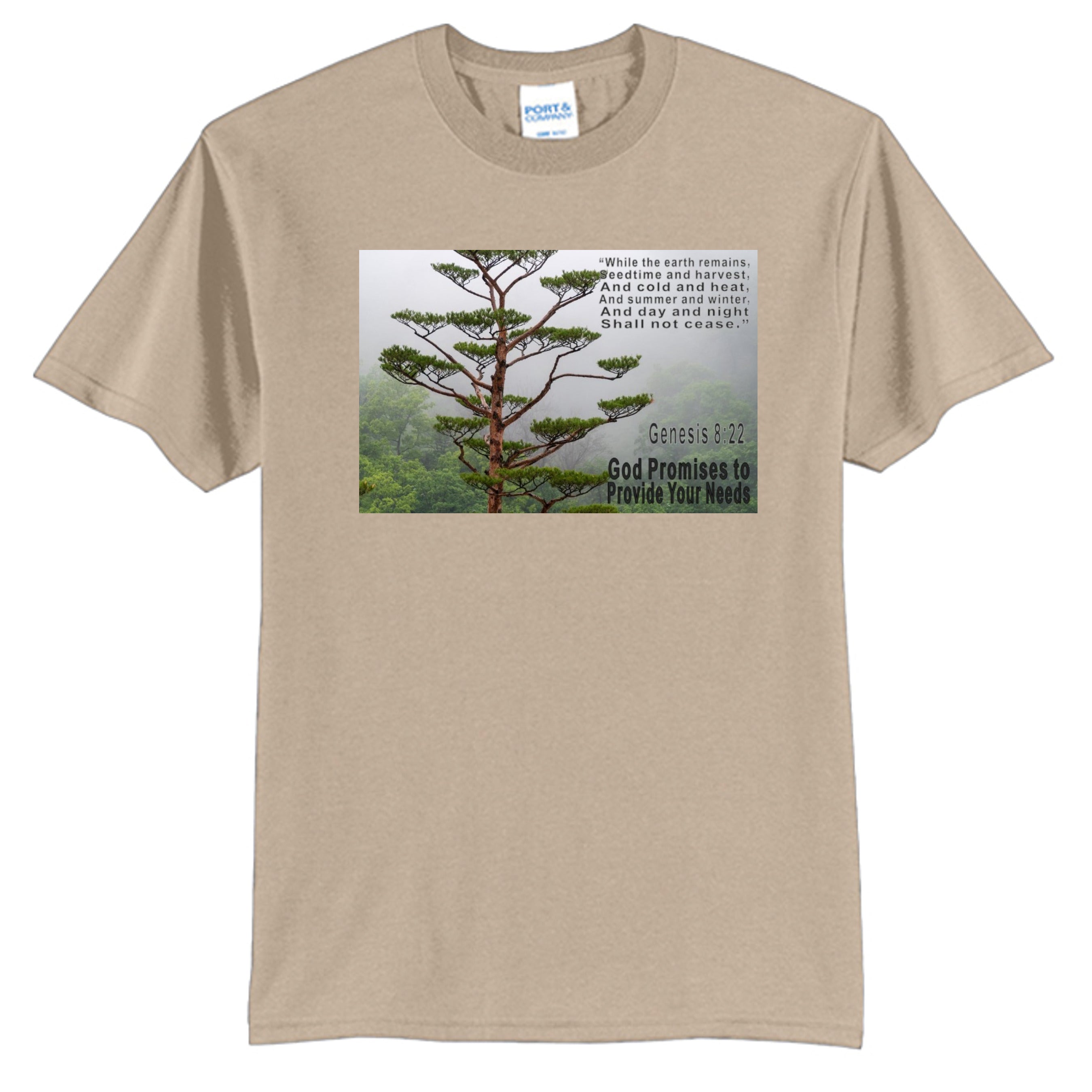 Desert Sand - PC55 - FRONT