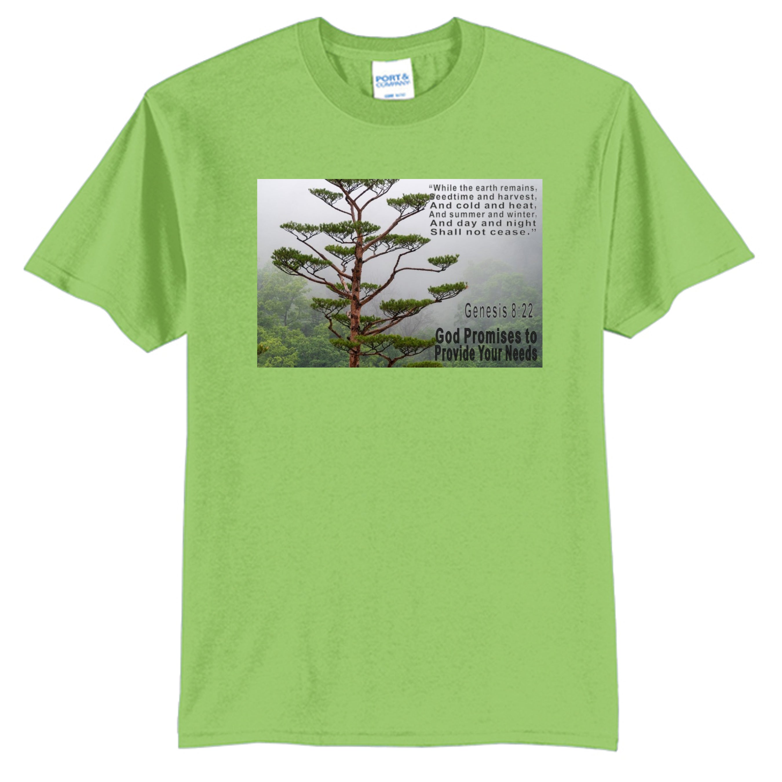 Lime - PC55 - FRONT
