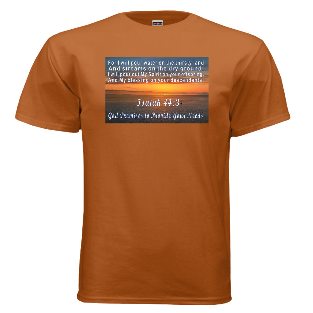 TEXAS ORANGE - 29M - FRONT