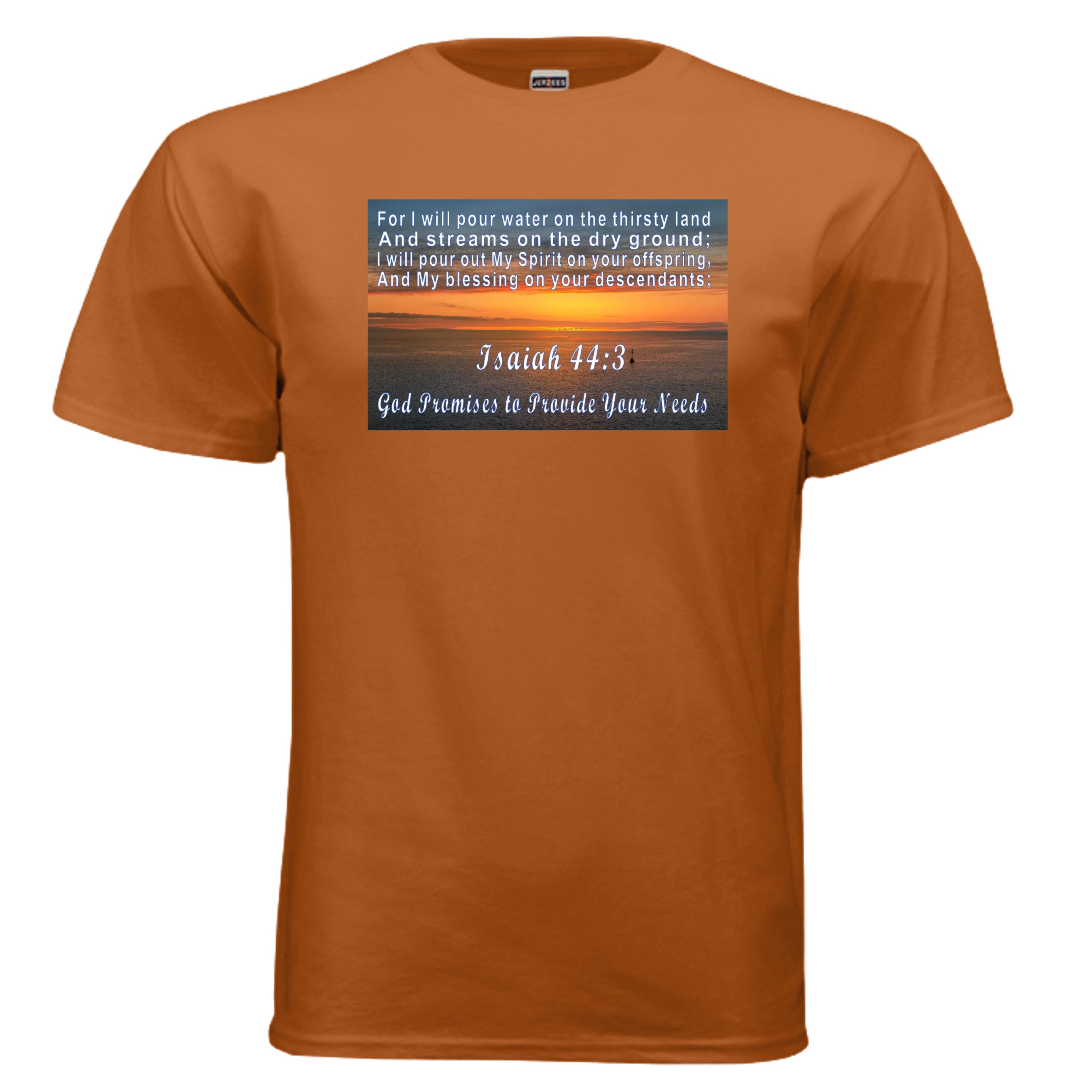 TEXAS ORANGE - 29M - FRONT