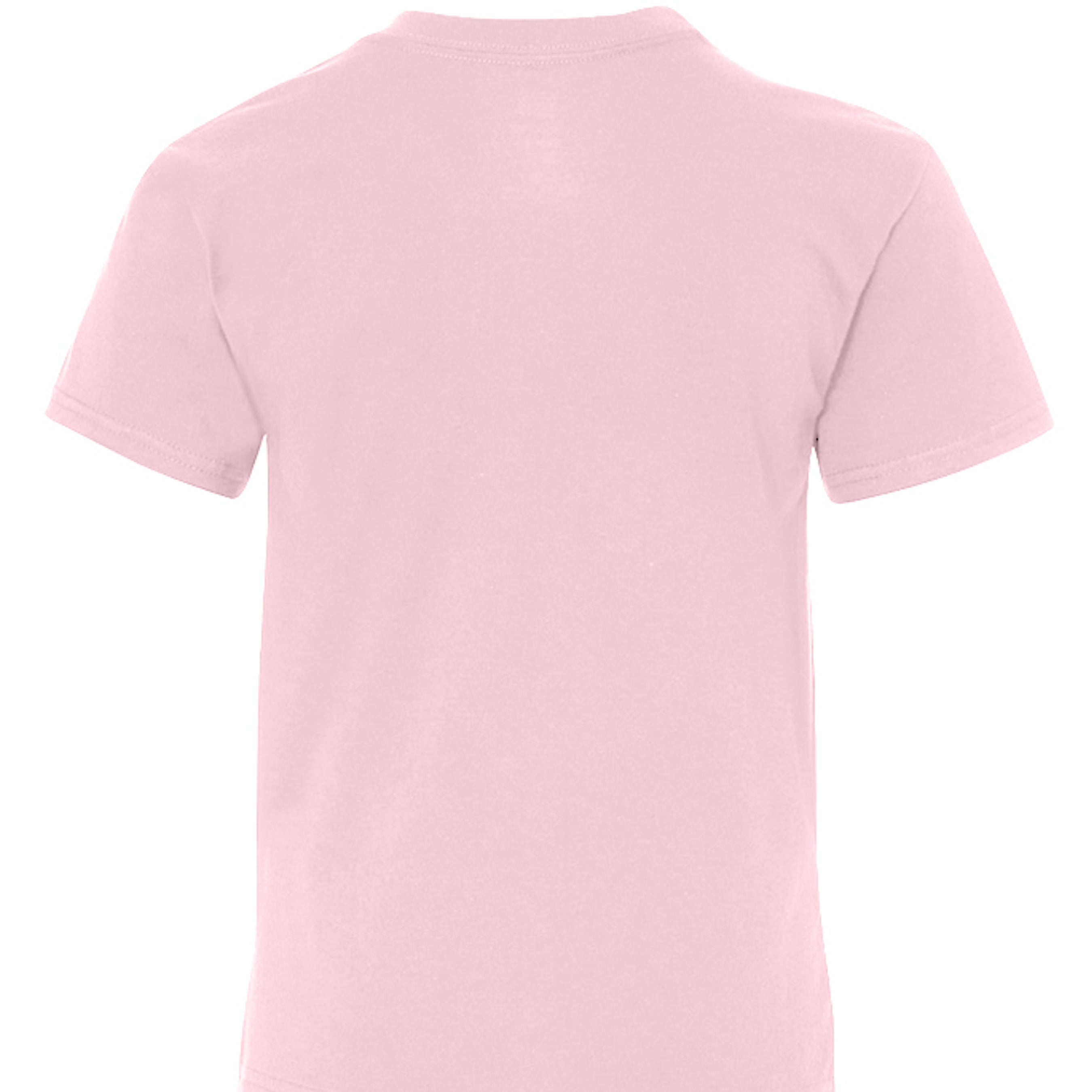 PALE PINK - 498Y - BACK