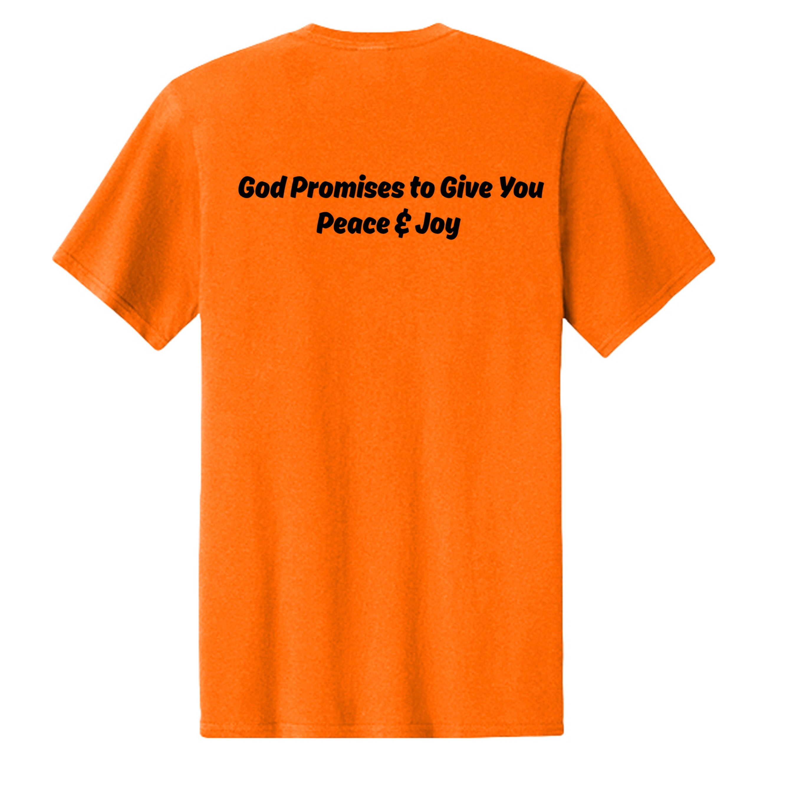 Safety Orange - PC43 - BACK